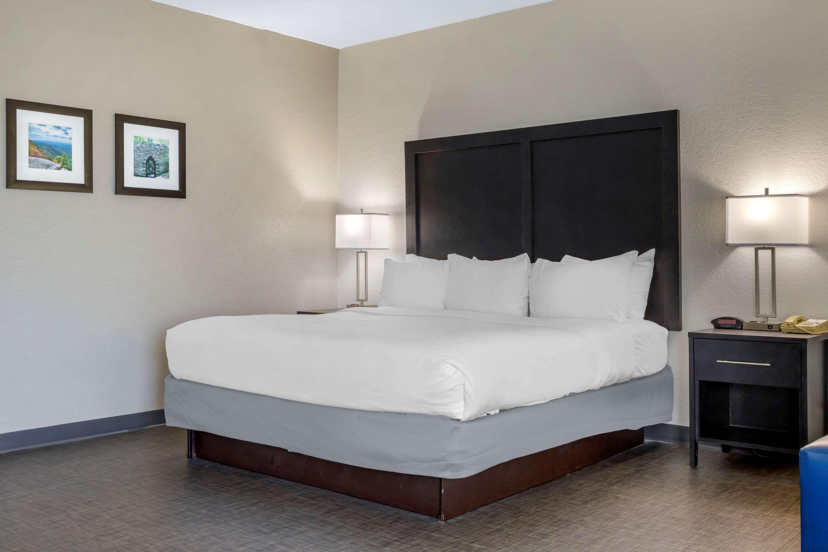 Comfort Inn & Suites Greer - Greenville المظهر الخارجي الصورة