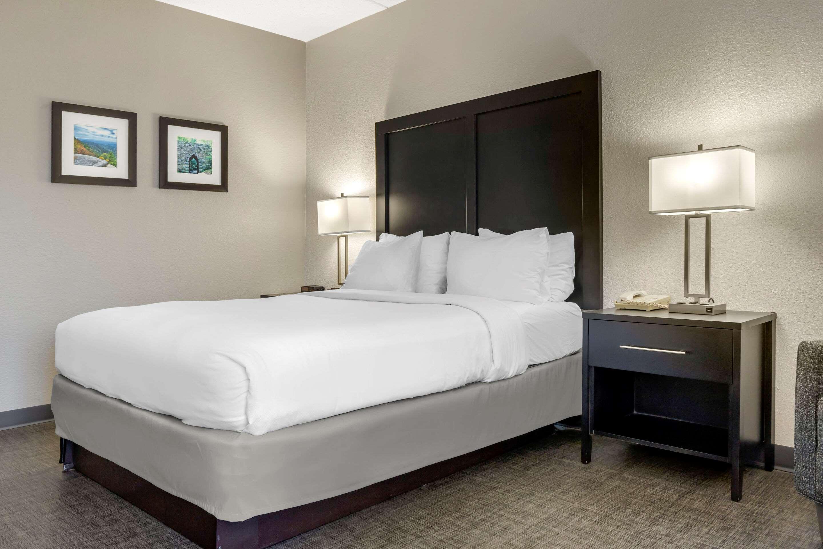 Comfort Inn & Suites Greer - Greenville المظهر الخارجي الصورة