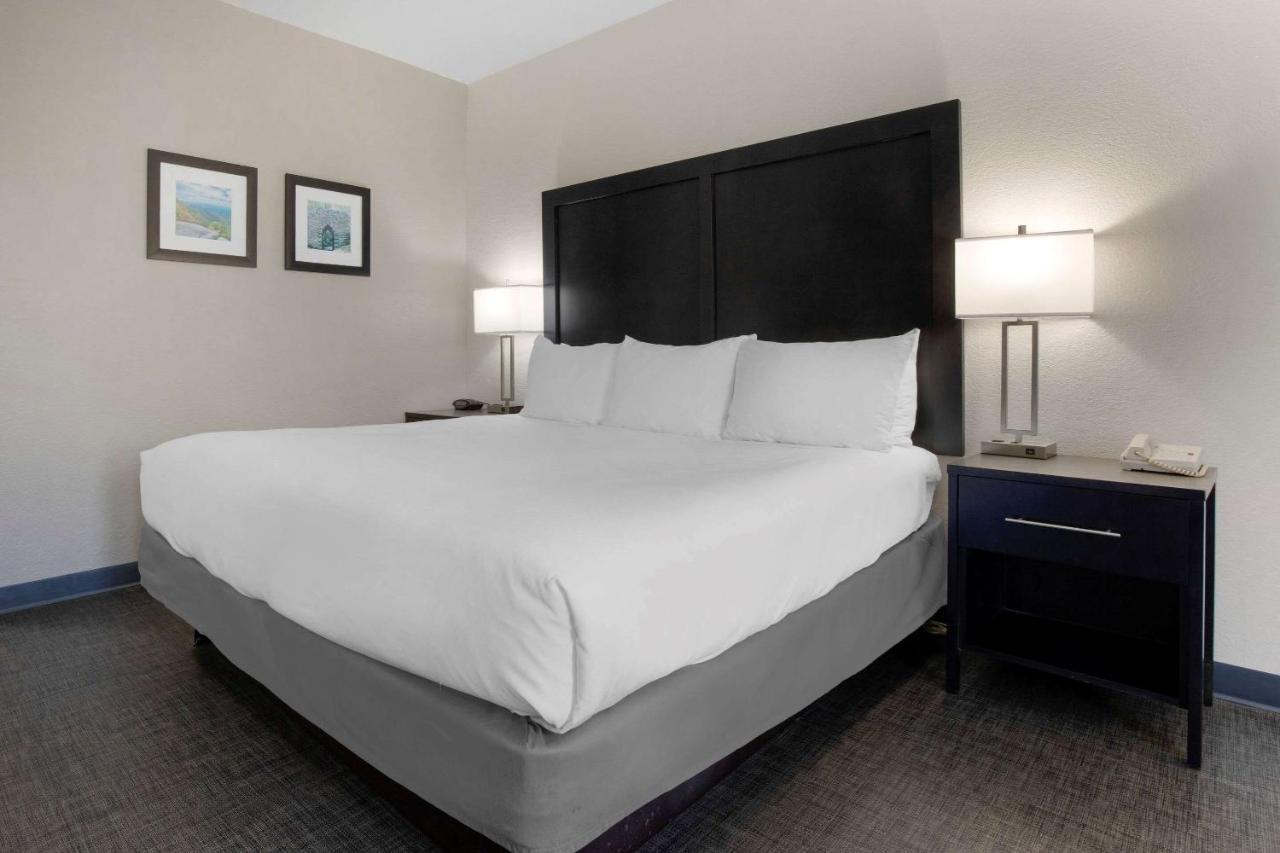 Comfort Inn & Suites Greer - Greenville المظهر الخارجي الصورة